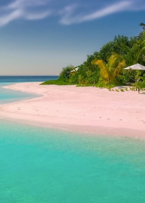 Bester Reiseanbieter: Alltours reist auch in die Karibik - aber andere Anbieter ebenso