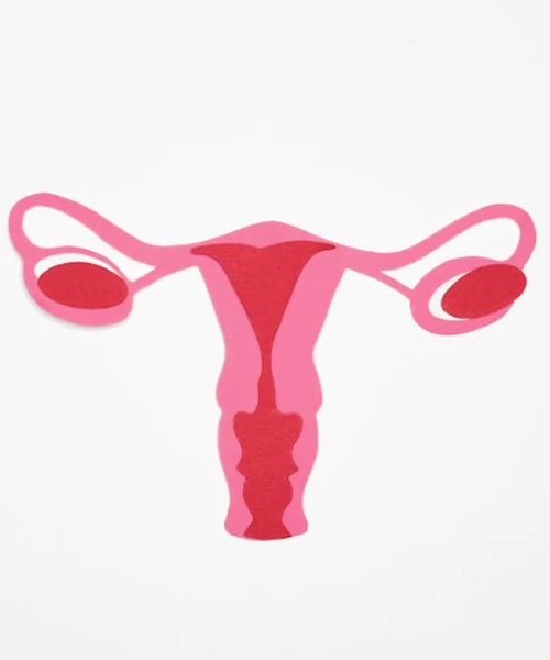 Die Patientinnenleitlinie richtet sich an Frauen, bei denen Gebärmutterhalskrebs festgestellt wurde